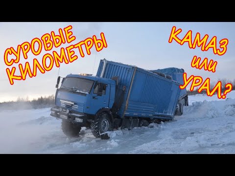 Битва КамАЗов и Уралов 4320 с бездорожьем на зимниках Крайнего Севера #КамАЗ #Урал4320 #Зимники