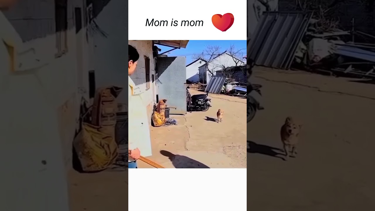 Mom is mom ❤️   