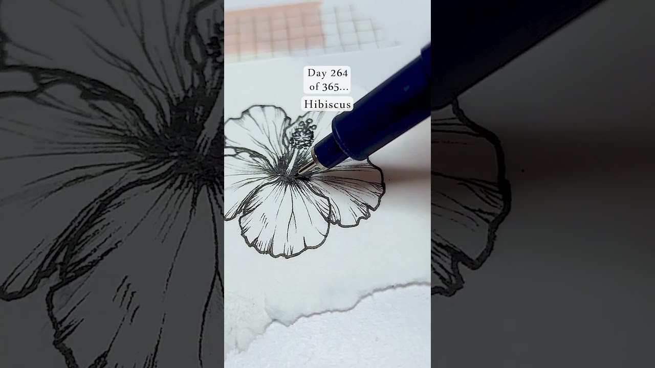 Today Is Day 264 Of Drawing Flowers Every For A Year And I Went With An Elegant Hibiscus