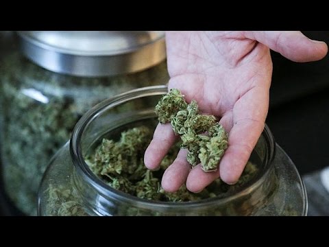 Видео выращивание марихуану брадикардия марихуана