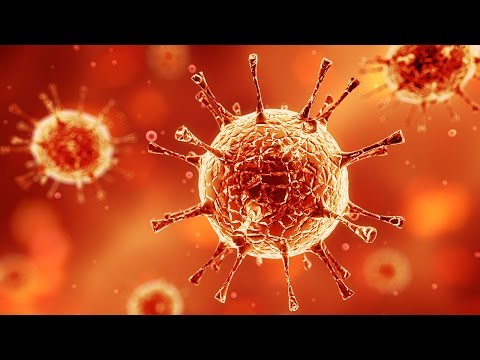 Human Physiology - Introduction to the Immune System