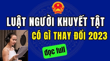 Luật người khuyết tật 2023 | Đọc toàn bộ văn bản