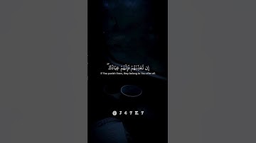 #إشتراك🥰💔🌿. #سورة_المائدة #الشيخ_ياسر_الدوسري 🕋🌿♥️