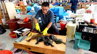 Legend! Korean Market Fish Cutting MASTER! / The way Korean eat Seafood | Korean sea food
