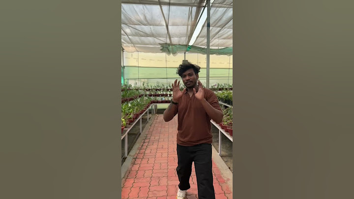 Kalaignar ponga explored 👏