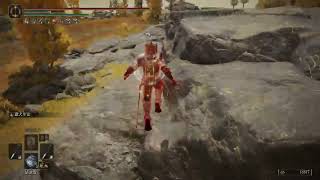 精華片段240326 Elden Ring,Lv156P4 2Vs2,Long Fight