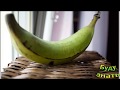 Всегда твердый, несладкий,  овощной Банан -Плантан, как готовить...