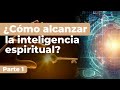 Parasha Shemini ¿cómo alcanzar inteligencia espiritual?