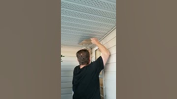 Remove Wasp nests in a Smarter way🧠 | how to remove wasp nest from attic| how to remove wasps