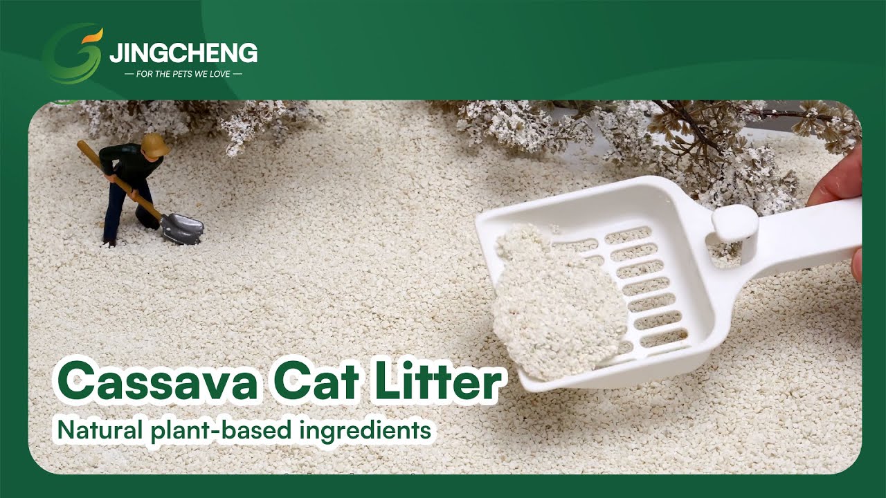 【JingchengPet】From Nature to Litter Box | Cassava Cat Litter That Clumps Fast!
