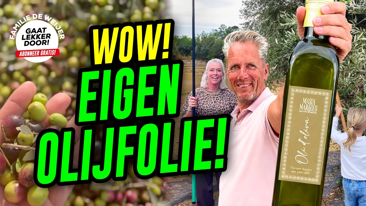 GEHEIM PROJECT!: Onze EIGEN OLIJFOLIE in Spanje!