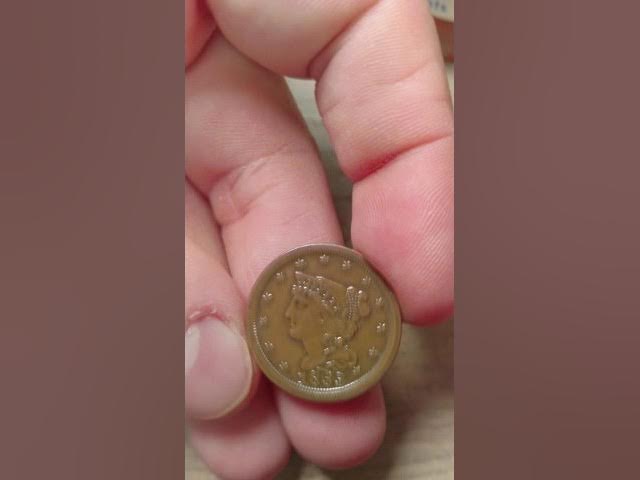 E-Z-Est (Jeweluster) Coin Cleaner