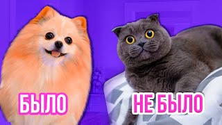картинка: БЫЛО ИЛИ НЕ БЫЛО | ЭЛИС И БАТТЕРС СИКАЛИСЬ НА ... | ПИТОМЦЫ ПРОТИВ