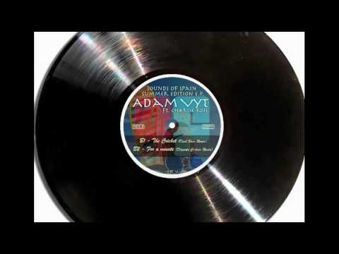 Adam Vyt — Adam Vyt Ft.Charlie Rose - The Cricket (Dual Base Remix)