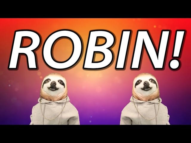 HAPPY BIRTHDAY ROBIN! - SLOTH HAPPY BIRTHDAY RAP