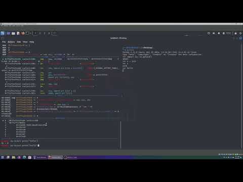 Injecting python code with py-inject