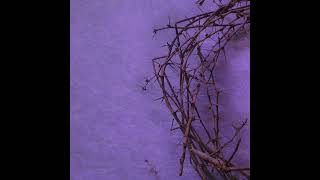 Details Should Your Lenten Penance Remain on Sundays  (The Patrick Madrid Show) Guide