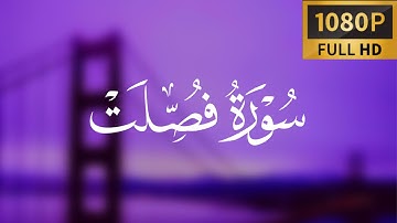 سورة فصلت تلاوة جميلة جدا جدا القارئ عمر عبدالله سلطان