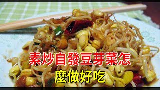 素炒自發豆芽菜怎麼做好吃