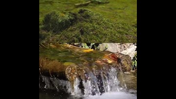 سورة البلد عبد العزيز الراجحي Surat Al-Balad Abdul Aziz Al-Rajhi#اكسبلور #دويتو #duet #كلمه #لايك #