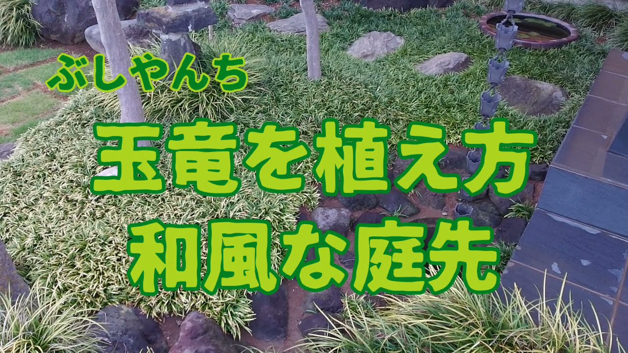 玉竜の植え方 Youtube