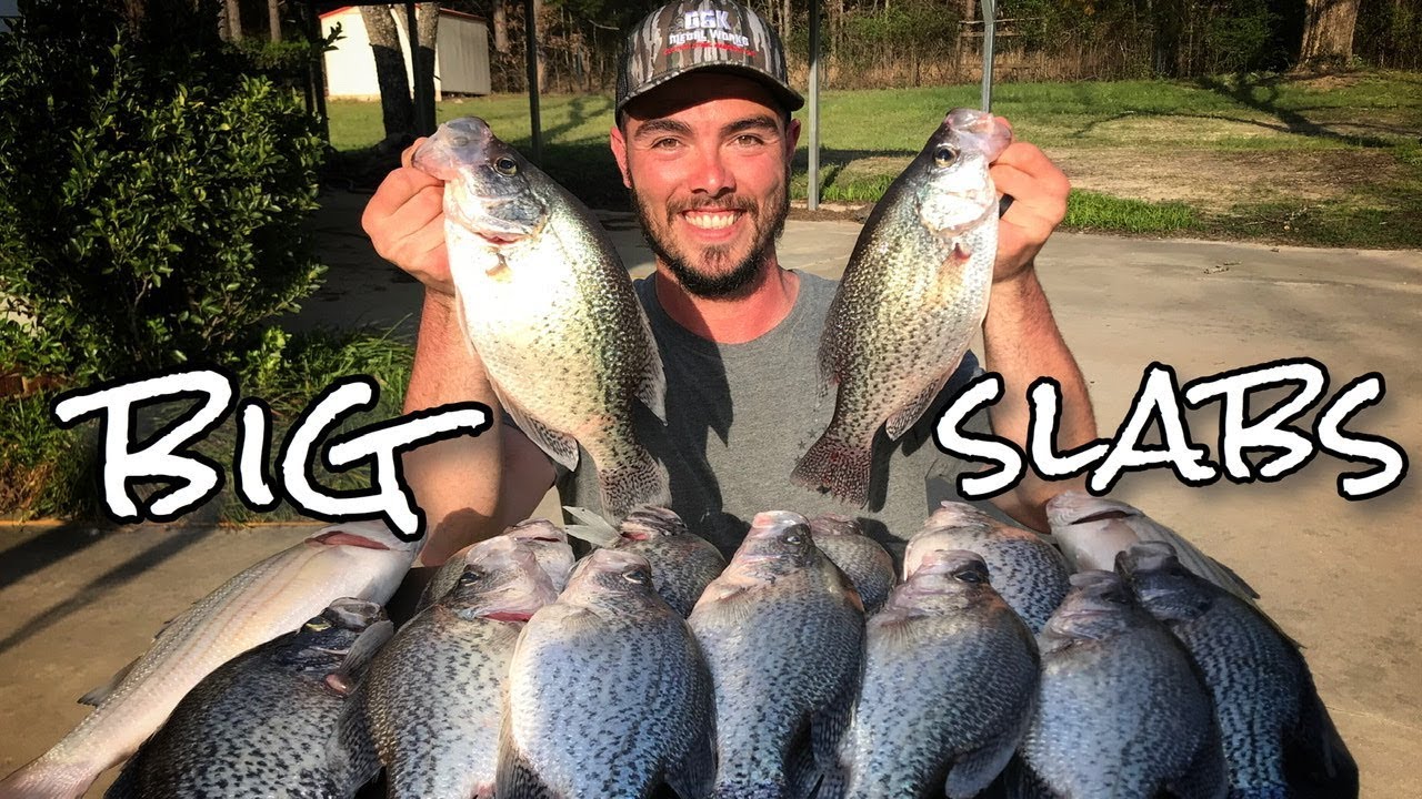 How to catch BIG SLAB Crappie! Clarks Hill Lake 