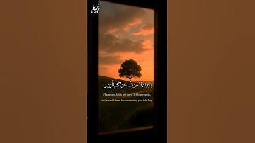 لا خوف عليكم 🤍 - القارئ #محمد_دياب #نفحات_شبان