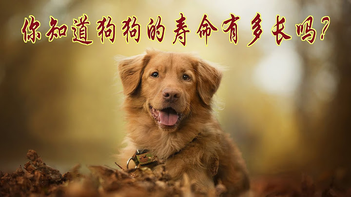 你知道狗狗的寿命到底有多长吗？如果你家的狗狗有这几种表现，说明它已经老了。#How long is the life span of a dog?。 - 天天要闻