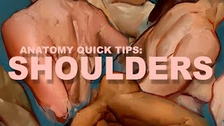 Anatomy Quick Tips: Shoulders