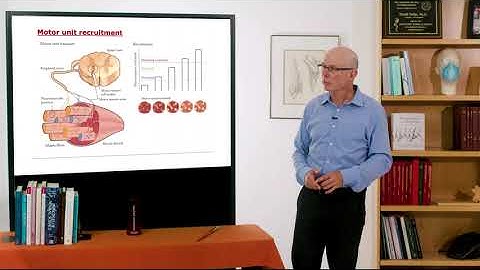 Biomechanics of Movement | Lecture 5.1: From Electricity to Force: Neuromuscular Biomechanics