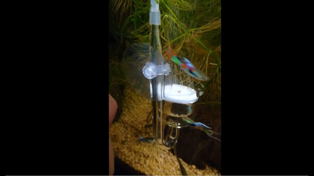 Co2 Fai da te per Acquario, Co2 Plant