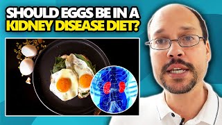 Should Eggs Be In A Kidney Disease Diet? Should You Eat Eggs In A Kidney Disease Diet Or With CKD