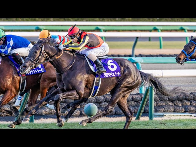 新星現る】無敗の怪物クロワデュワール全レースまとめ【時代を刻む伝説