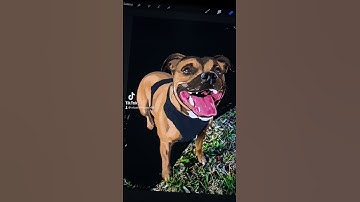 This doggy came out perfect. #illustration #drawing #dog #pets #procreate