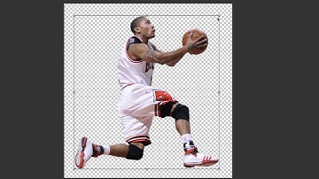 Beginner Photoshop Tutorial: Free Transform