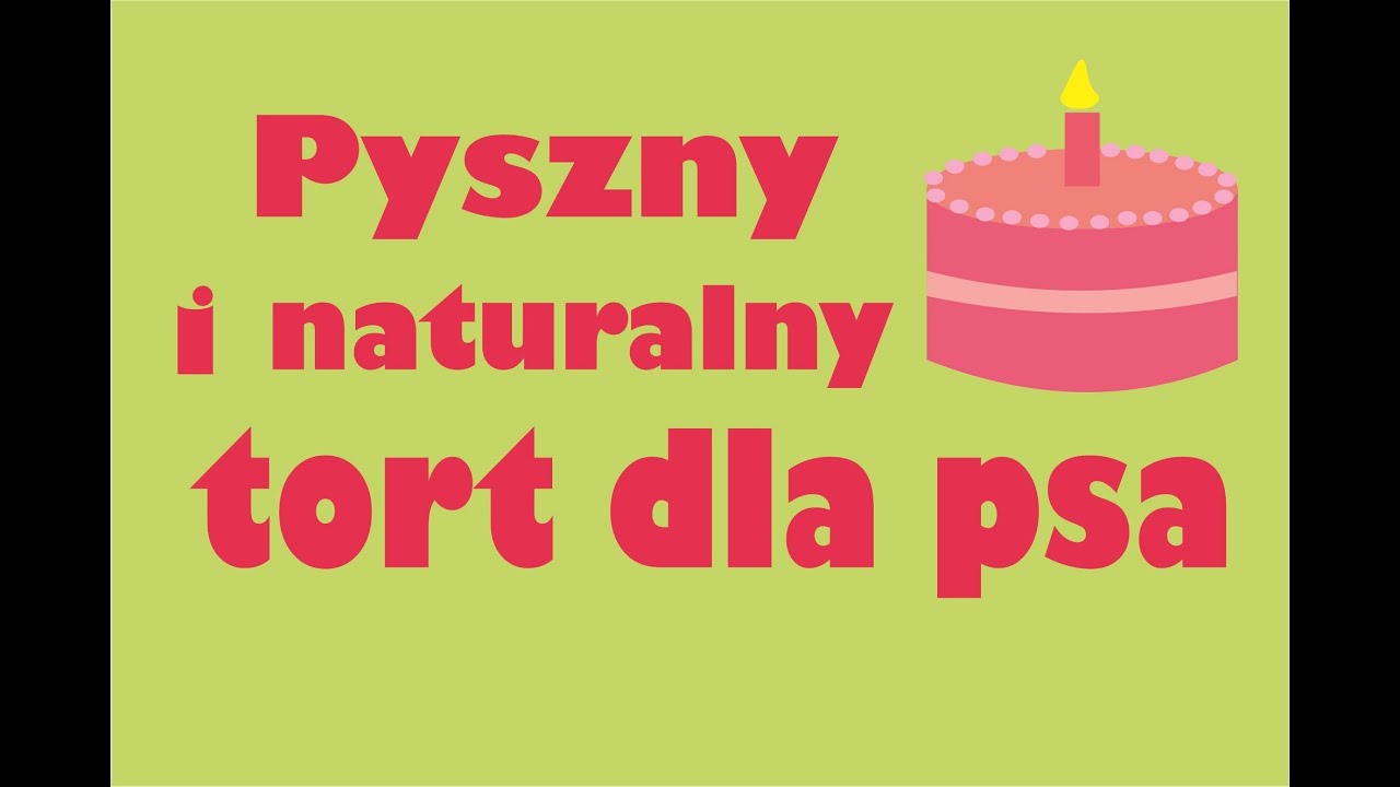 Mięsny tort dla psa | Zrób go dla swojego czworonoga! :)