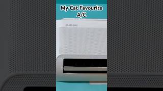 My Cat Favourite Ac Samsung Bespoke AI 5 in 1 Convertible A/C #samsung #samsungac #viral #shorts