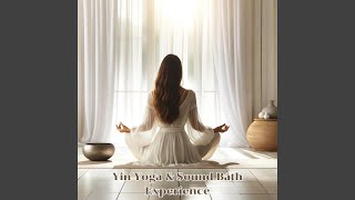 Mindful Harmony Practice