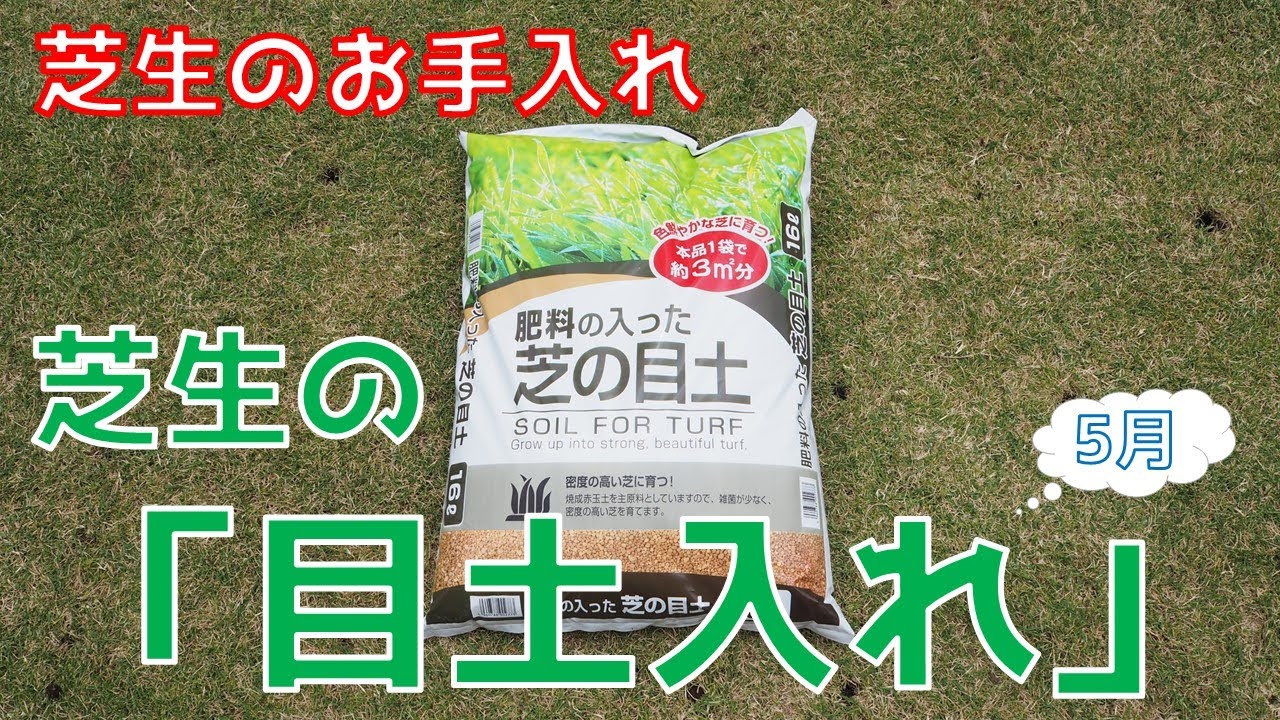 芝生の目土入れとは その意味や手入れのやり方 タイミングを解説 暮らし の