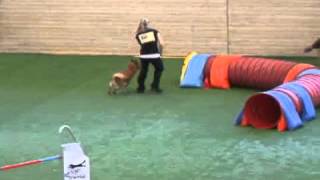 Tanya Spiel 12 Friedrichsthal 22 02 2015