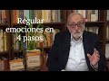 Cuatro pasos para regular las emociones | Manuel Villegas