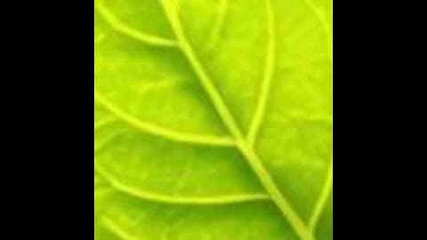 مشاعر وفوائد والحب في سور القرآن الكريم الحب لسورة النور #القرآن_نور_للقلوب_وشفاء_للصدور