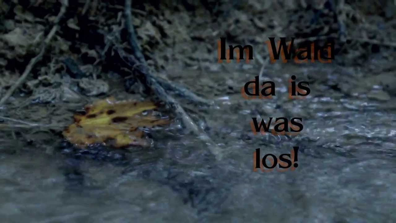 Im Wald Da Ist Was Los Lied Im Wald da is was los - YouTube