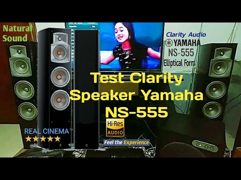 Test Dynamic Sound Speaker Yamaha NS-555