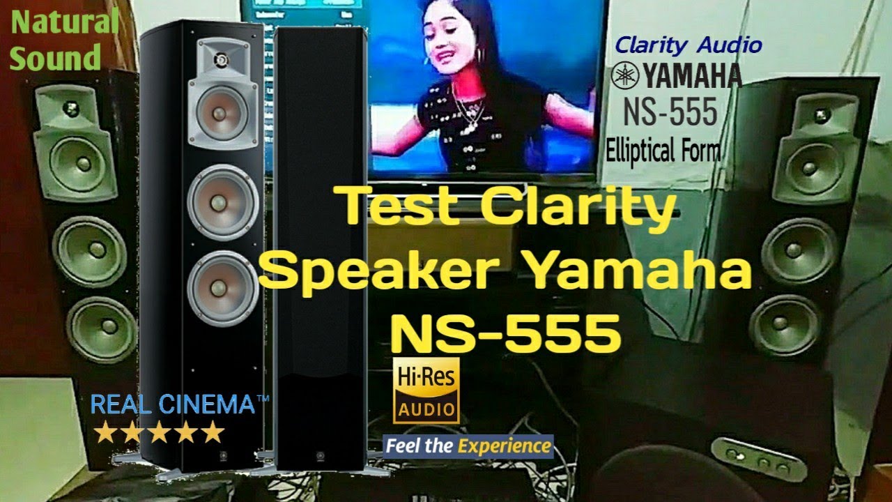 Yamaha Ns 555 Test