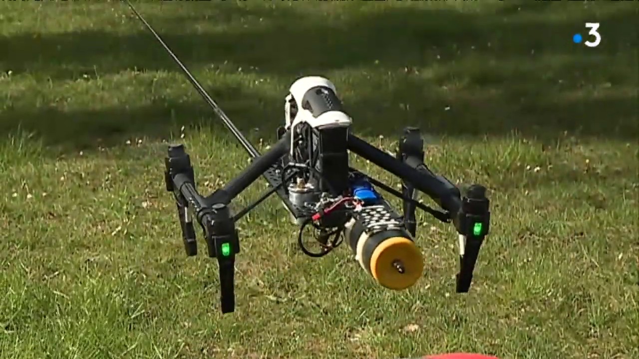 Reportage France 3 Limousin , drone frelon asiatique