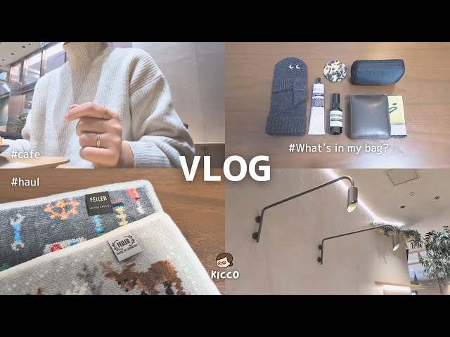 主婦Vlog】地味好き40代最近の購入品/フェイラー/バッグの中身/年末