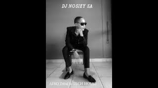 DJ NOSIEY SA - AFRO TRIBAL & TECH HOUSE MIXTAPE [MAY 2021]