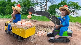 Monkey drives an excavator to collect eggs and eat watermelon after collecting eggs