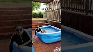 It is recommended that all families with children buy it pool swimming summer.part 430